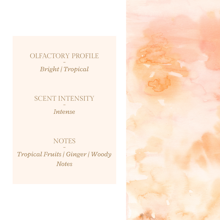 For the Thrill | Reed Diffuser