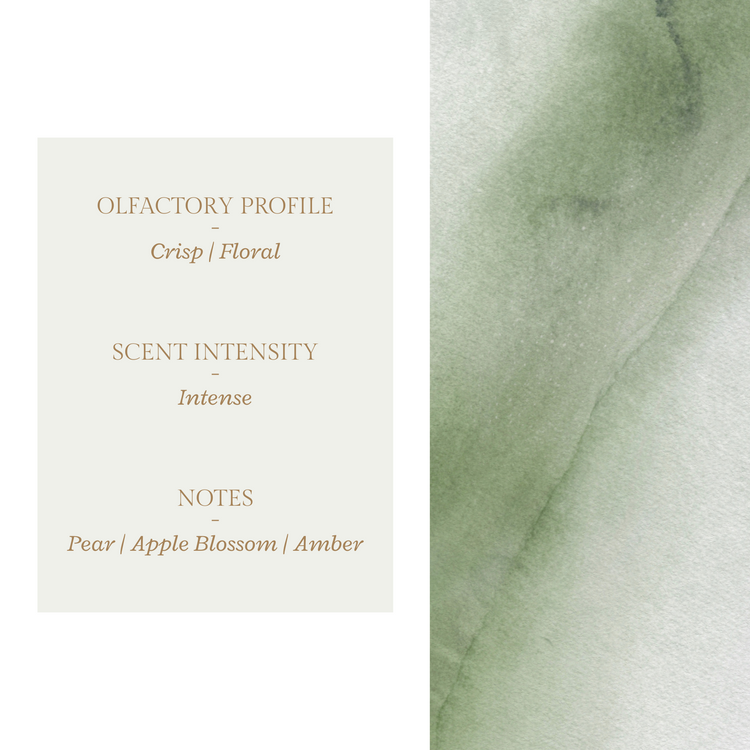 Good Intentions | Reed Diffuser