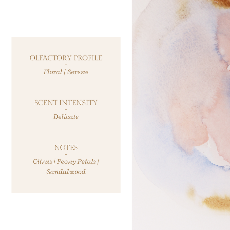 Hello, My Angel | Reed Diffuser