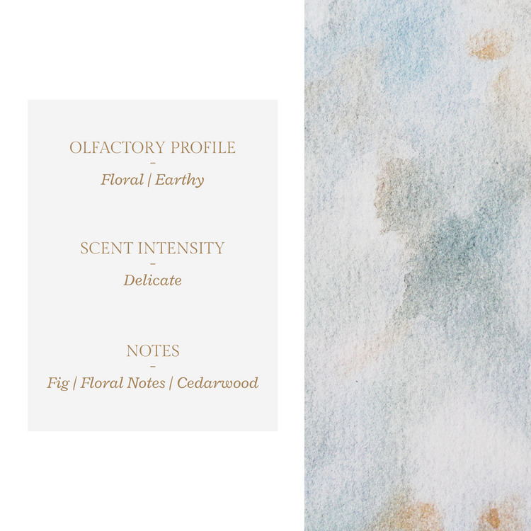 Simple Pleasures | Reed Diffuser
